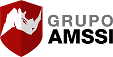 Grupo Amssi